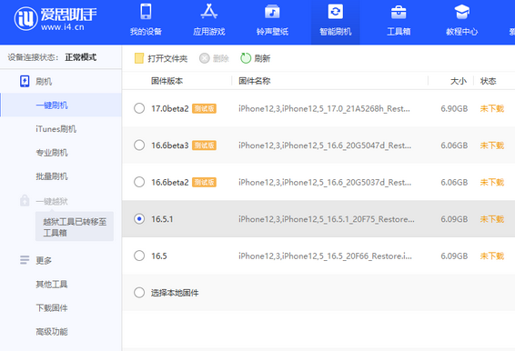 环翠苹果售后维修分享iPhone提示无法检查更新怎么办